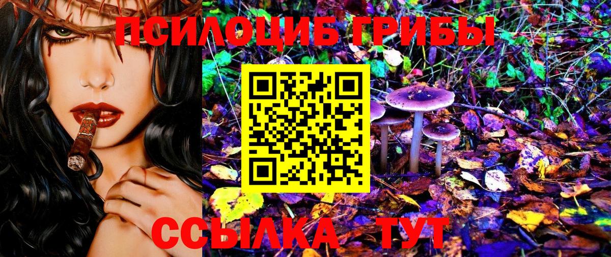 Галлюциногенные грибы Magic Shrooms Россошь