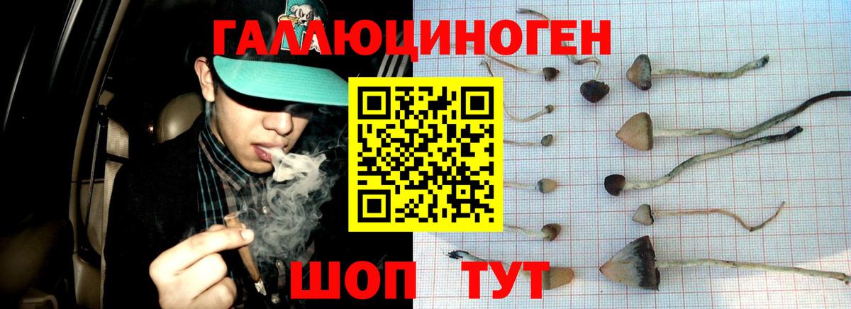 Галлюциногенные грибы Magic Shrooms  Вход с VPN  хочу наркоту  Россошь 